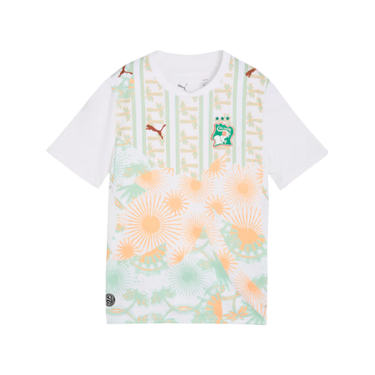 Ivory Coast World Cup Away Jersey 2026/27