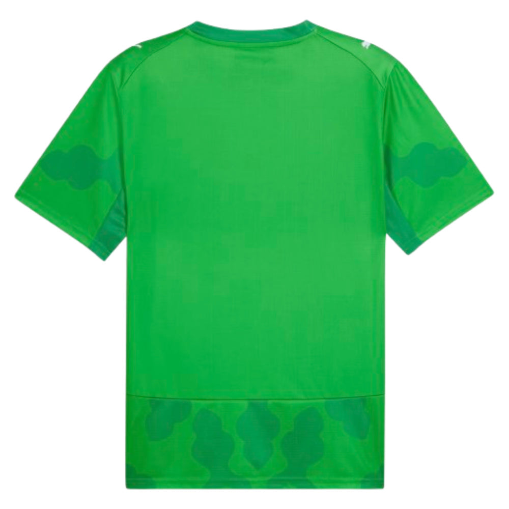 2026-2027 Egypt Goalkeeper Shirt